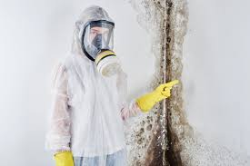 Best Mold Removal for HVAC Installations in USA